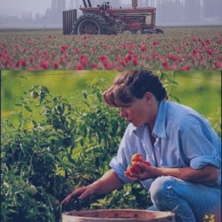 Imagen agricultores al l&iacute;mite