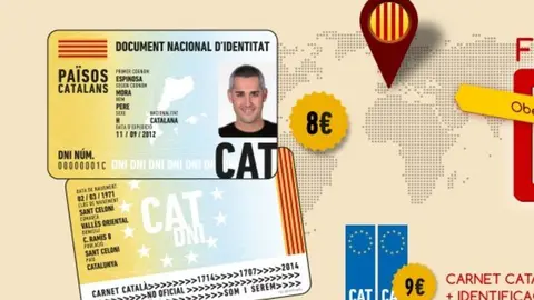 dnicata
