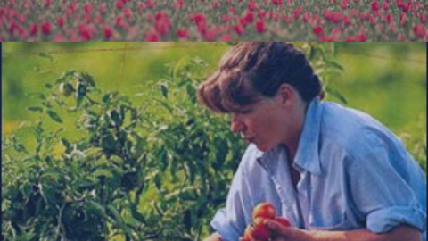 Imagen agricultores al l&iacute;mite