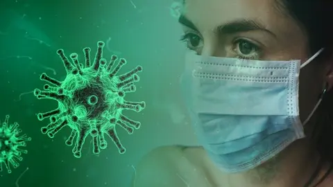 Imagen Coronavirus anatom&iacute;a &iacute;ntima
